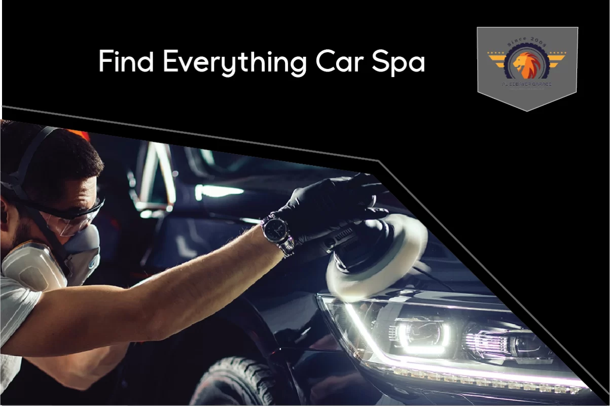 find everything car spa