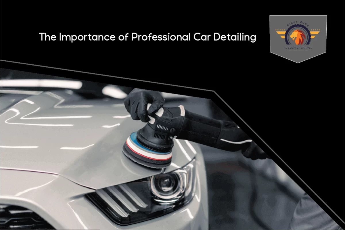 Professional Car Detailing